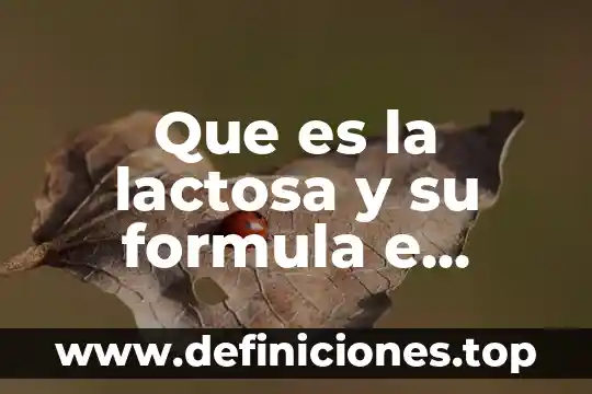 Que es la lactosa y su formula e importancia