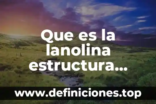 Que es la lanolina estructura quimica