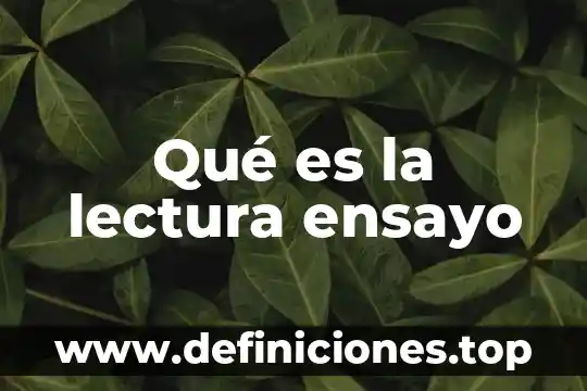 Que es sla lectura y sus tipos 7 Qué es la lectura ensayo