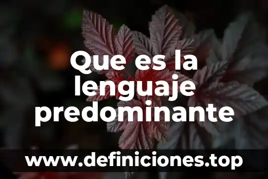 Que es la lenguaje predominante