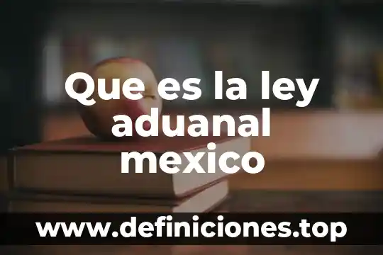 Proceso de despacho aduanal que es 4 Que es la ley aduanal mexico