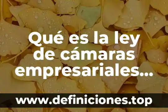 Que es erp planificacion de recursos empresariales 6 Qué es la ley de cámaras empresariales y sus confederaciones