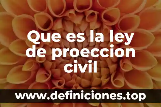Que es un juicio de orden civil 8 Que es la ley de proeccion civil