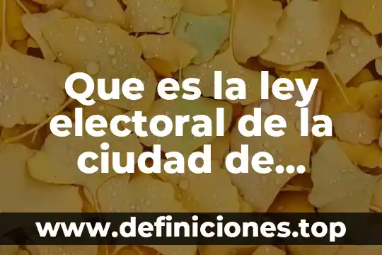Qué es el proceso electoral federal en México 7 Que es la ley electoral de la ciudad de mexico