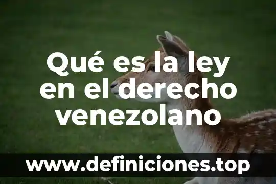 Qué es la ley en el derecho venezolano