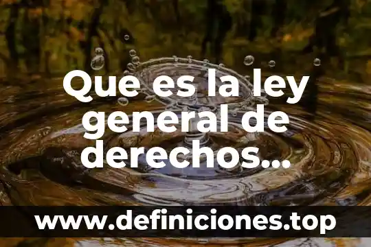 Que es la nueva ley de trnasporte en parral chihuahua 3 Que es la ley general de derechos lingüisticos