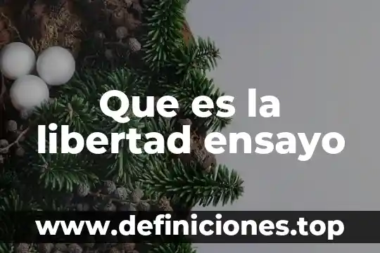 Que es la libertad ensayo