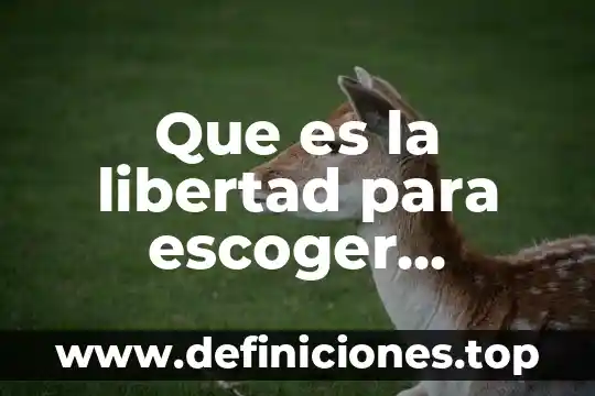 Que es la libertad para escoger trabajo