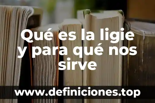 Que es networc y para que sirve 6 Qué es la ligie y para qué nos sirve