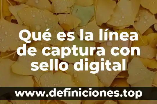 Qué es una línea principal eléctrica 4 Qué es la línea de captura con sello digital