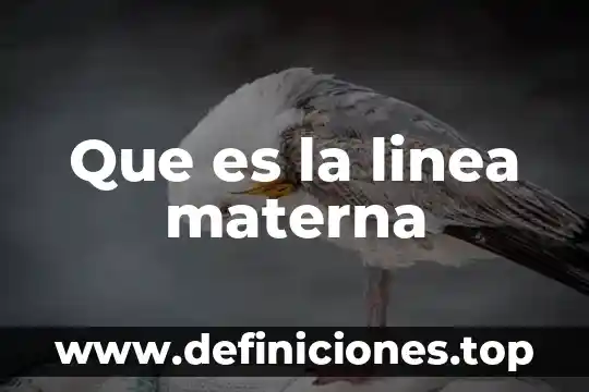 Que es una linea de tiempo de una persona 5 Que es la linea materna
