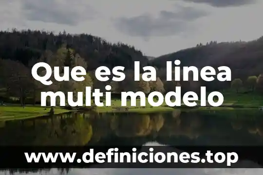 Qué es una línea principal eléctrica 5 Que es la linea multi modelo