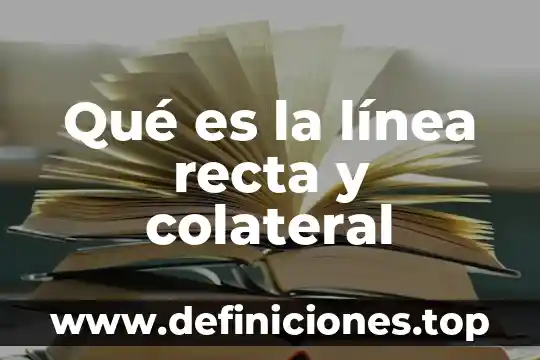 Qué es la línea recta y colateral