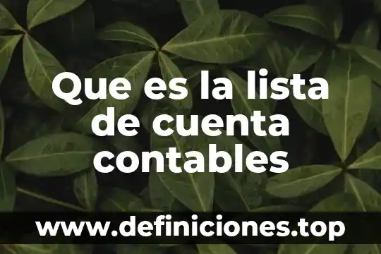 Lista de desgravacion mexico union europea que es 3 Que es la lista de cuenta contables