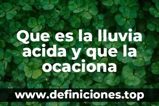 Que es implicaciones ecologicas lluvia acida 6 Que es la lluvia acida y que la ocaciona
