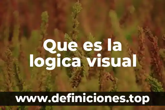 Que es la logica visual