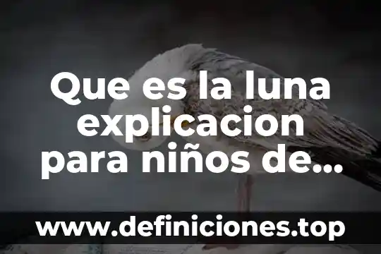 Que es el porfiriato resumen corto para niños 8 Que es la luna explicacion para niños de primaria