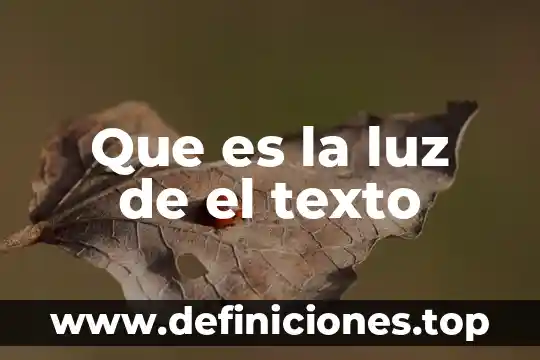 Pago de luz para que es 6 Que es la luz de el texto