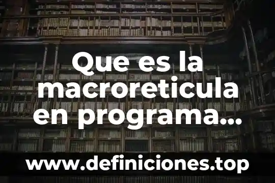 Que es un programa de motivacion laboral 6 Que es la macroreticula en programa de estudios