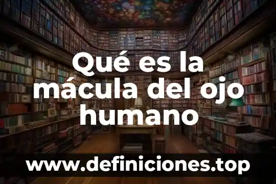 Qué es la mácula del ojo humano