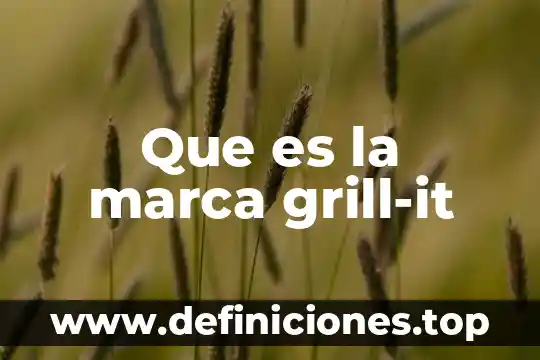 Diga que es la prueba confesional formulación y audiencia probatoria 7 Que es la marca grill-it