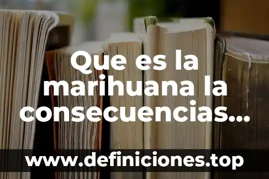 Que es la marihuana y como funciona 3 Que es la marihuana la consecuencias en la salud