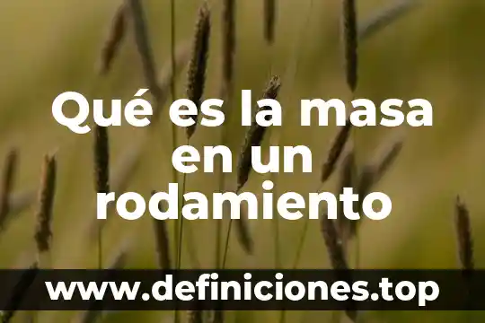 Qué es la masa en un rodamiento