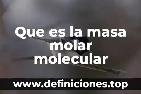 Concentración molar que es y para que sirve 8 Que es la masa molar molecular