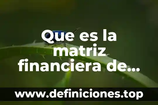 Que es inversion en evaluacion financiera 4 Que es la matriz financiera de un proyecto
