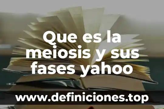 Meiosis que es sintesis celular 4 Que es la meiosis y sus fases yahoo