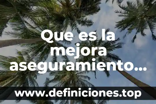 Para la OMS que es calidad 6 Que es la mejora aseguramiento de la calidad