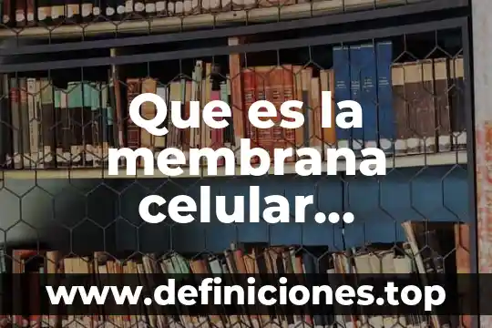Que es una membrana celular de la célula vegetal 4 Que es la membrana celular significado