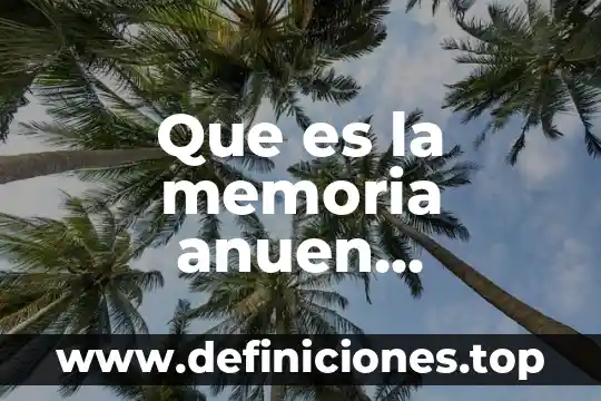 Que es la memoria anuen computadora