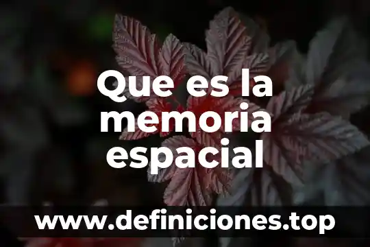 Que es la memoria espacial