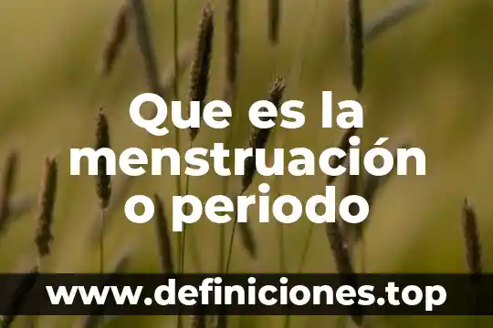 Que es bueno para que la menstruacion sea mas corta 4 Que es la menstruación o periodo