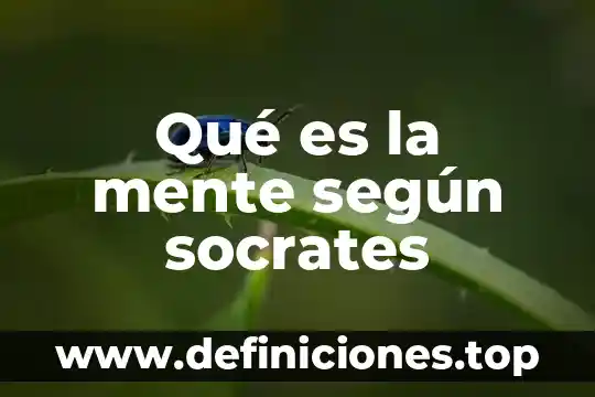 Qué es un símbolo según piaget 5 Qué es la mente según socrates