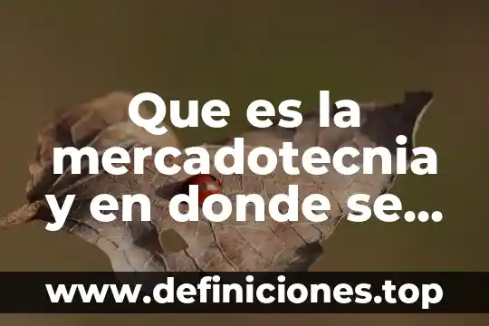 Qué es el cuerpo ciliar y donde se encuentra 4 Que es la mercadotecnia y en donde se aplica