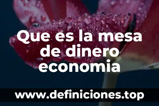 Que es sombra en informatica 8 Que es la mesa de dinero economia