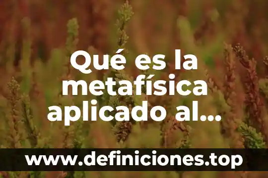 Qué es la metafísica aplicado al derecho