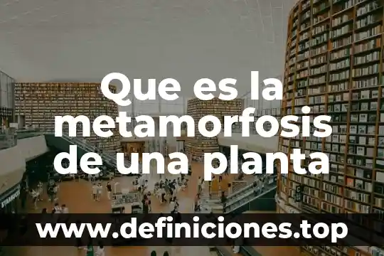 Que es loque hace una salvaguardias en la planta nuclear 3 Que es la metamorfosis de una planta