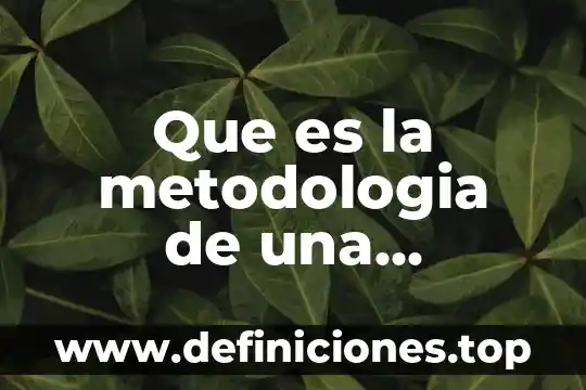 Que es resumen en metodologia 5 Que es la metodologia de una actividad