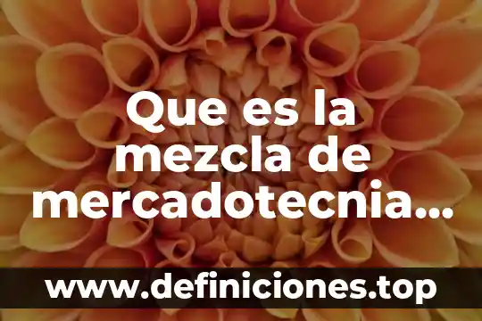 Que es el valor de responsabilidada 6 Que es la mezcla de mercadotecnia en el mercado meta