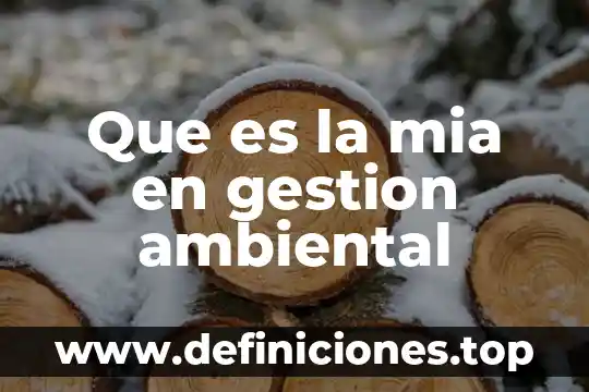 Que es la mia en gestion ambiental