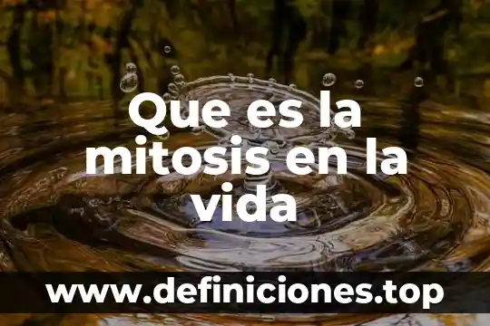 Que es importante la mitosis 6 Que es la mitosis en la vida