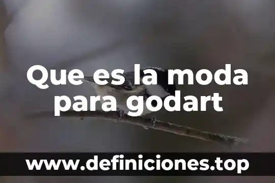 Que es la moda vanguardista 4 Que es la moda para godart