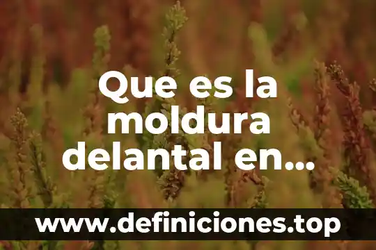Que es la moldura delantal en arquitectura
