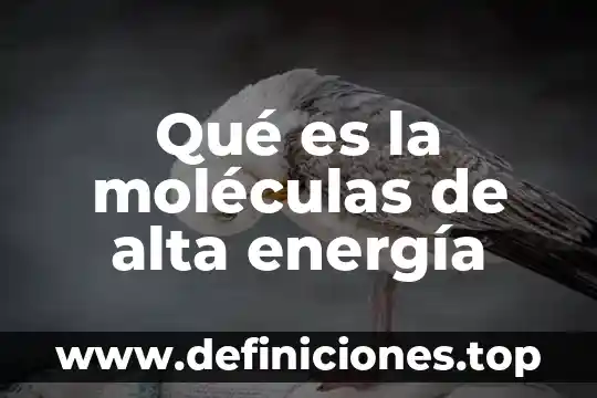 Que es energia ecologico 3 Qué es la moléculas de alta energía