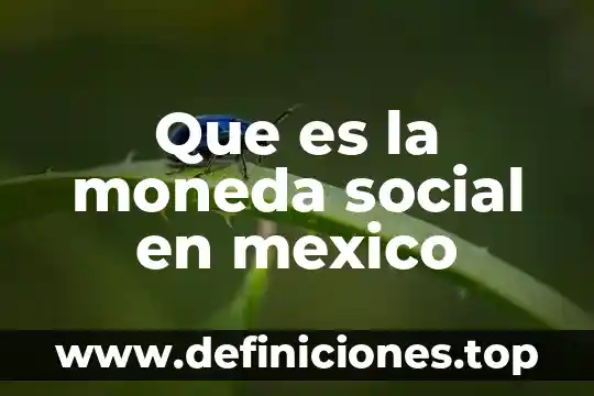 Que es un ambiene social 7 Que es la moneda social en mexico