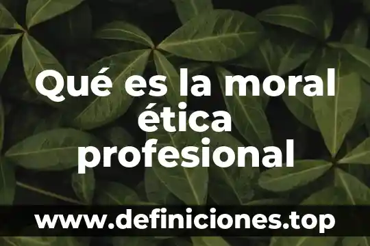 Qué es la moral ética profesional