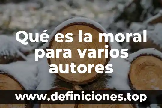 Que es una consultoria empresarial de varios autores 7 Qué es la moral para varios autores